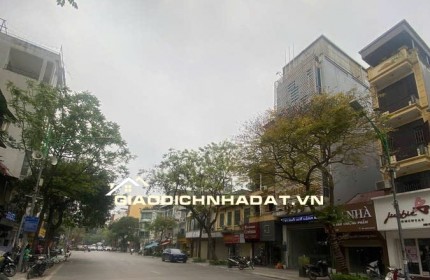 BÁN BIỆT THỰ MẶT PHỐ TRIỆU VIỆT VƯƠNG, HAI BÀ TRƯNG, 200M2 3 TẦNG GIÁ 42 TỶ- KINH DOANH ĐA DẠNG,0978834597