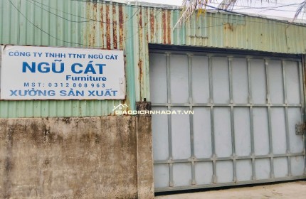 BÁN XƯỞNG ĐANG CHO THUÊ - HẺM XE HƠI - NHỊ BÌNH, HÓC MÔN - DIỆN TÍCH LỚN - GIÁ CHỈ 11 TỶ