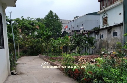 Bán đất thôn 3 Vạn Phúc - Thanh Trì. DT 58m, MT 8.3m. Ô tô tải vào tận đất