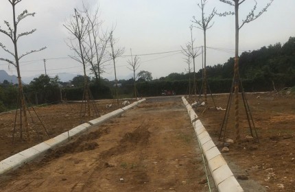ĐẦU TƯ TỐI THIỂU - LỢI NHUẬN TỐI ĐA