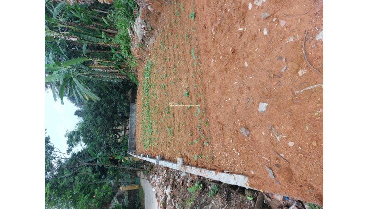 Bán đất thổ cư 2 mặt tiền tại thị trấn Phong Châu