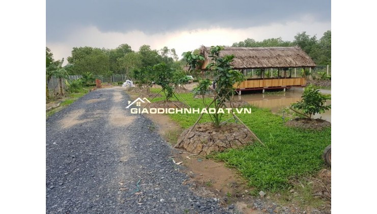 Bán Gấp 1000m2 Đất Vườn Giá 210 Triệu Liên Hệ 0706320631 gặp A An