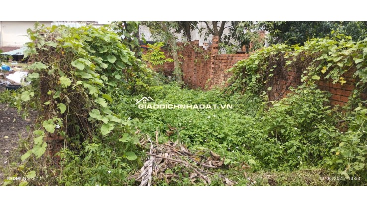 Bán gấp 60m2 đất trồng cây lâu năm Lê Văn Khương, Đông Thạnh Hóc Môn