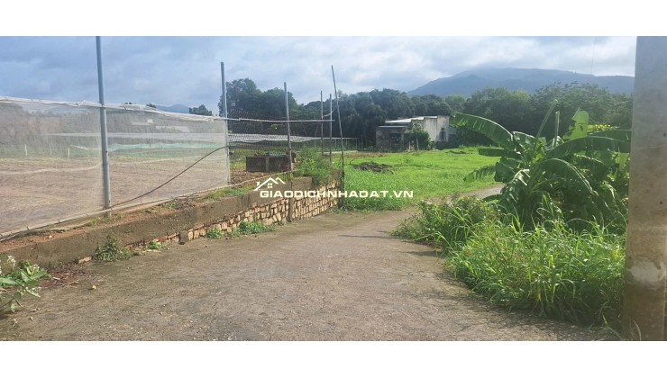 BÁN ĐẤT ĐƯỜNG TRÁNH QL56 TÂN HẢI, PHÚ MỸ, BÀ RỊA VŨNG TÀU. 1773M2 CÓ 300M2 THỔ CƯ. LH:0588201669