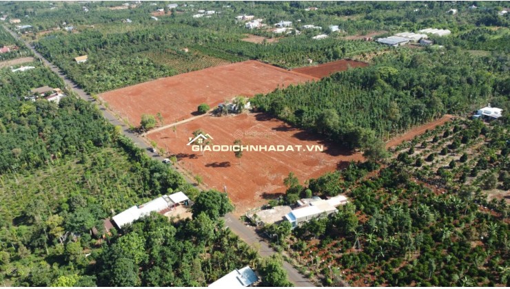 Bán gấp lô đất cực đẹp giá chỉ 800 triệu ngay trung tâm xã Quảng Thành: Chủ đang kẹt tiền