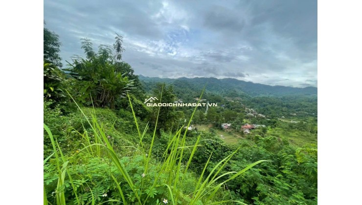 Nhà ở thành phố