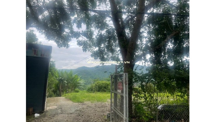 Nhà ở thành phố