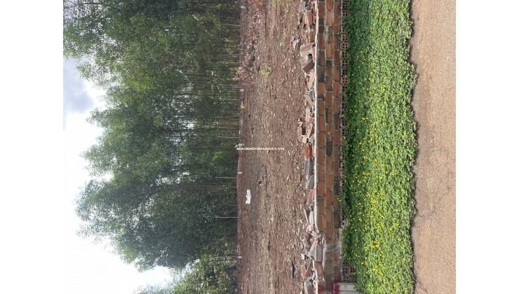 Kẹt tiền Cần Bán 100m2, Sổ riêng  thổ cư 100%, Tại Huyện Trảng Bom Chỉ 8xx