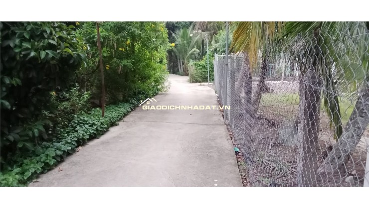 Bán Lô Đất Đẹp Mặt Tiền Đường An Sơn 32 – Gần Quanh Đai 3 – Chỉ 9,2 Triệu/M²