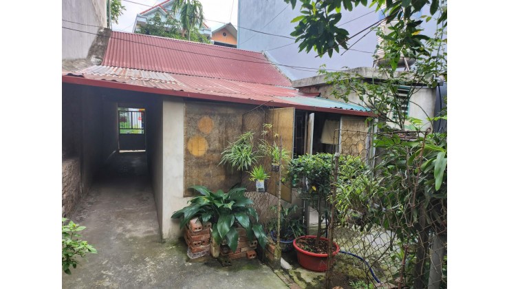 Bán dãy trọ