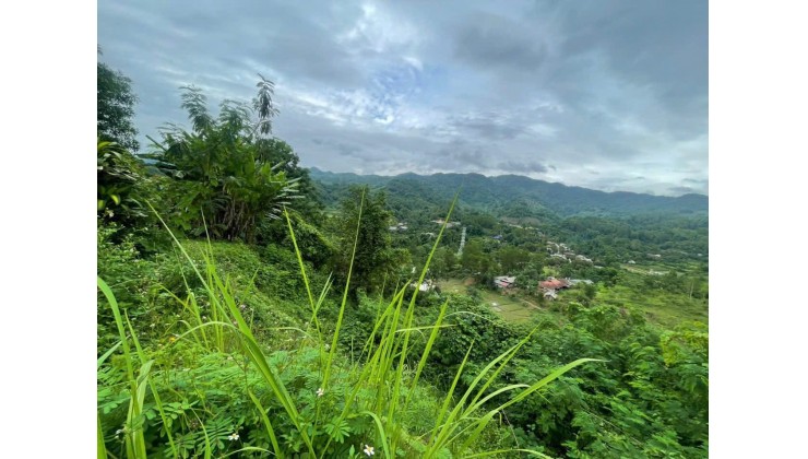 BÁN ĐẤT CÓ NHÀ Ở VÀ KHO BÃI BẢN TÀ LÈNG XÃ THANH MINH