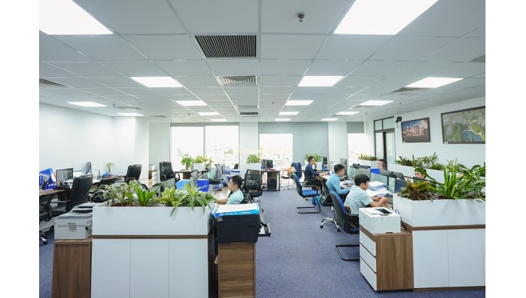 Vinaconex Diamond toà VP hạng A vị trí chiến lược nằm trung tâm Hai Bà Trưng giá siêu rẻ 49 tr/m2