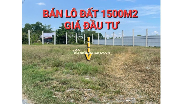 bán lô đất 1500m2- thổ cư- thị trấn hậu nghĩa-làm kho-xưởng-tách thửa-gọi cho em xem đất