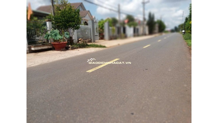 Chỉ 5,3 Triệu/m2 ( Tổng 2,3 Tỷ thôi)  là sở hữu được 12M Mặt tiền Láng Lớn -  Kim Long