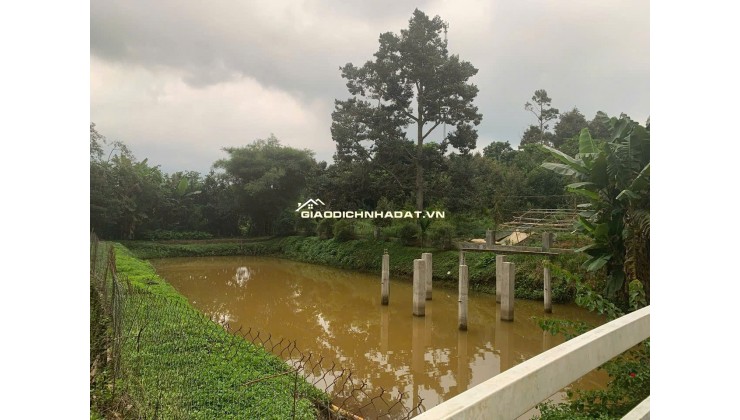 Bán lô đất nghỉ dưỡng cực đẹp tại Lộc An – có nhà sẵn, view hồ, vườn trái cây