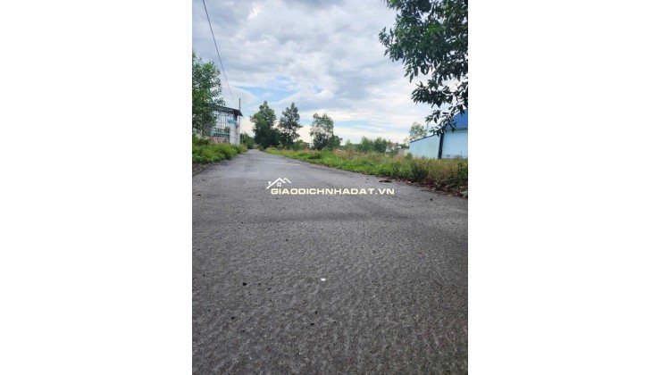 Bán đất ngay cổng KCN Giang Điền, 1 sẹc Trần Vĩnh Lộc, 1 tỷ 100m2