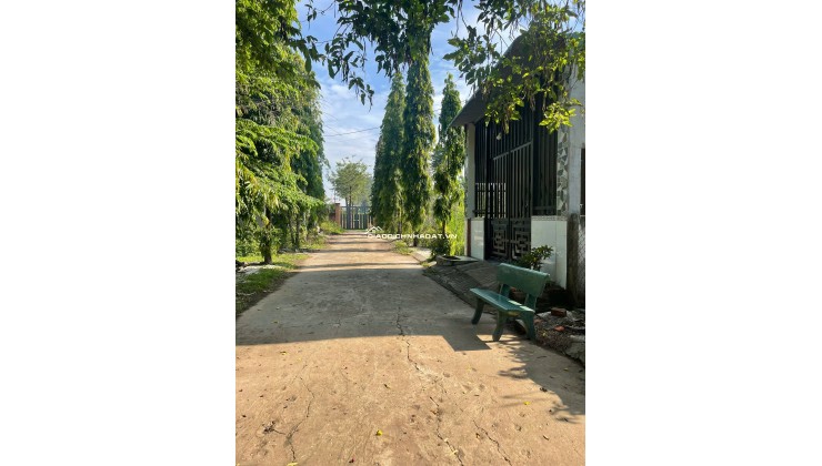 -ĐẤT ĐẸP TRUNG TÂM XÃ ĐỒI 61 – CHỈ 880 TRIỆU – SỔ RIÊNG, THỔ CƯ