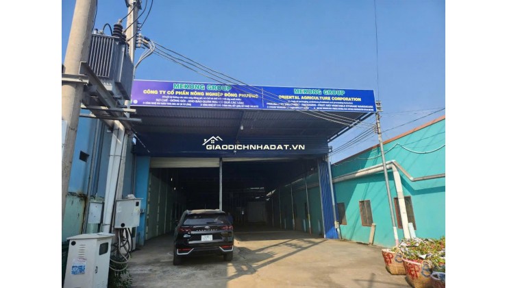CHO THUÊ KHO XƯỞNG SƠ CHẾ BẢO QUẢN TRÁI CÂY TẠI LONG AN, CHỈ 1.8TR/NGÀY. LH:0908005554 – 0938702006.