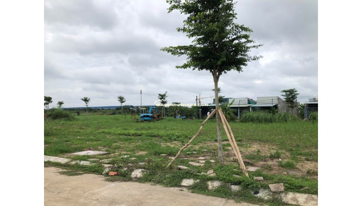 **CẦN BÁN ĐẤT NHỊ THÀNH, LONG AN GIÁ RẺ** GẦN CỔNG CHÀO THỦ THỪA - QL1A
