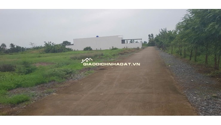 BÁN ĐẤT THỔ CƯ PHƯỜNG LONG THUẬN, TPGC, TIỀN GIANG 200M2 CHỈ 770TR. LH:0906482678.
