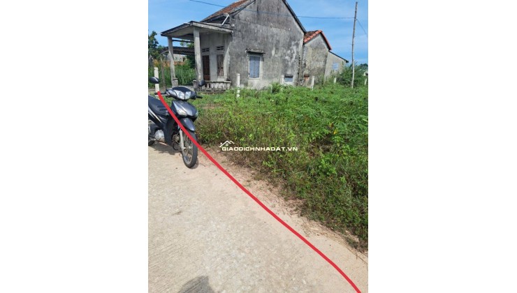 Cần bán đất nền trồng cây hằng năm tại Xã Mộ Đức, Quảng Ngãi