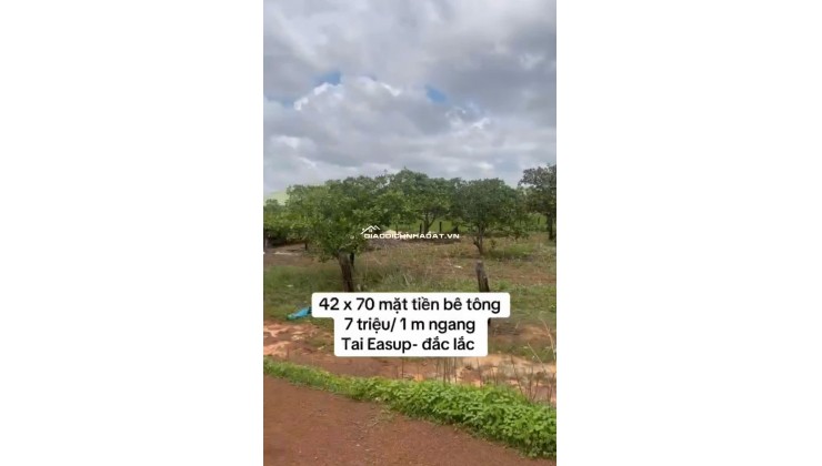 KẸT TIỀN BÁN GẤP 3361,1MV ĐẤT CÁCH XÃ CƯ K BANG, E A SÚP, ĐẮC LẮC 1.5KM CHỈ 300TR. LH:0888889603