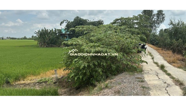 Bán đất full thổ cư, đường betong, p3 kiến tường loang an