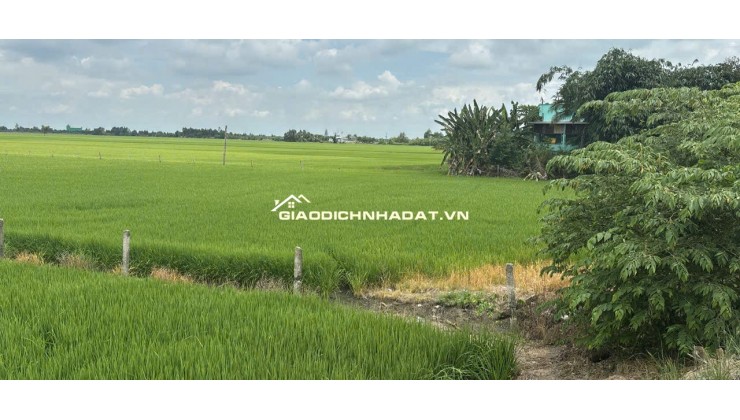 Bán đất full thổ cư, đường betong, p3 kiến tường loang an