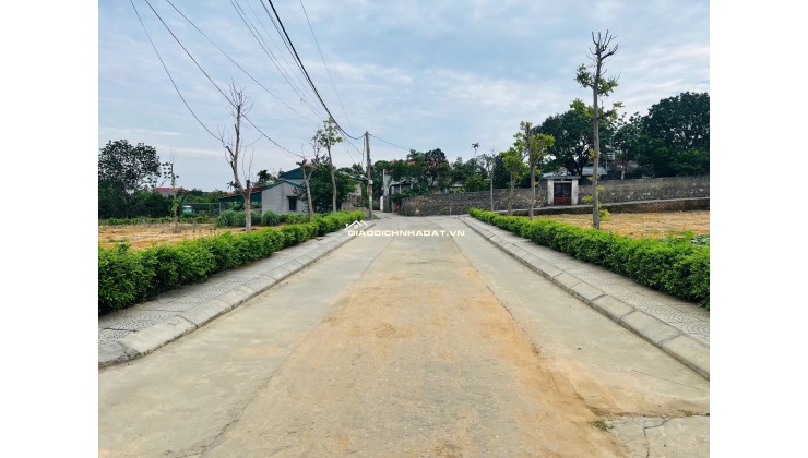  CHỈ VỚI 7XX TRIỆU – Sở hữu ngay lô đất đẹp từng centimet tại Đông Triều - Quảng Ninh