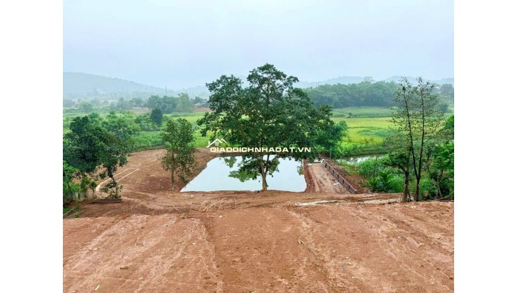Chính chủ bán đất view đẹp nhất Thơn Dy - Minh Quang -Ba Vì