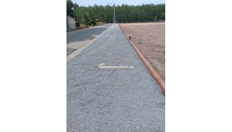 Đất nền thổ cư xã Dầu Tiếng, Bình Dương chỉ 250 triệu, 200m2, sổ sẵn từng nền
