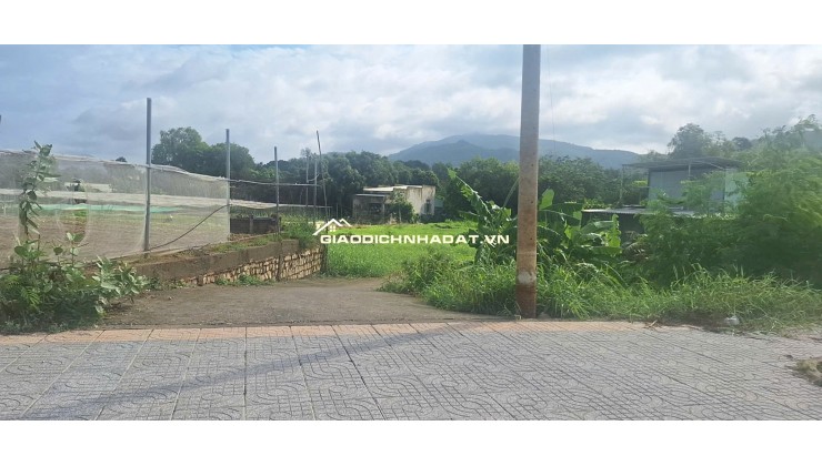 BÁN ĐẤT ĐƯỜNG TRÁNH QL56 TÂN HẢI, PHÚ MỸ, BÀ RỊA VŨNG TÀU. 1773M2 CÓ 300M2 THỔ CƯ. LH:0588201669