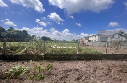 Bán Gấp 1000m2 Đất Vườn Giá 210 Triệu Liên Hệ 0706320631 gặp A An