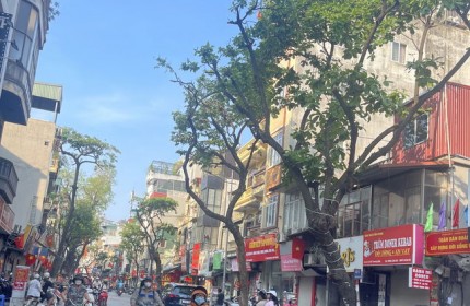 Siêu hiếm, lô góc mặt phố Trương Định 35m2 x 3 tầng. Vỉa hè rộng, kinh doanh khủng