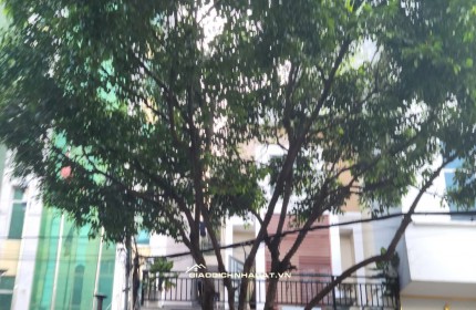 Bán Nhà Mặt Tiền Đường Trần Văn Dư, P.13, Tân Bình, 6x32m, 36.5 Tỷ