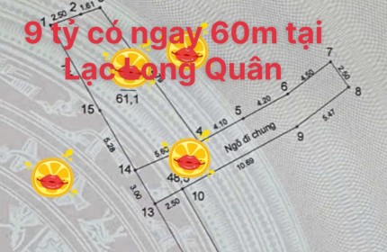 Bán Lạc Long Quân, 9 tỷ, 60m2, view đẹp, pháp lý đầy đủ