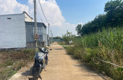  Bán gấp đất Tây Hòa Trảng Bom – Gần Vành Đai 4, giá chỉ 785 triệu!