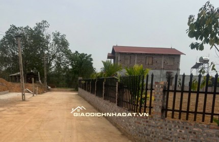 CHÍNH CHỦ BÁN ĐẤT NGỌC THANH – ĐẠI NẢI – VĨNH PHÚC