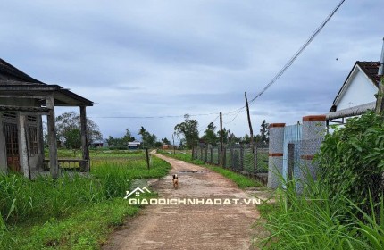 Cần bán đất nền trồng cây hằng năm tại Xã Mộ Đức, Quảng Ngãi