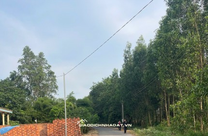Bán 115m2 đất ở xã An Viễn, tỉnh Đồng Nai, 9,56 tr/m2