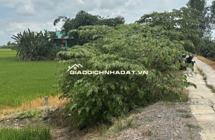 Bán đất full thổ cư, đường betong, p3 kiến tường loang an
