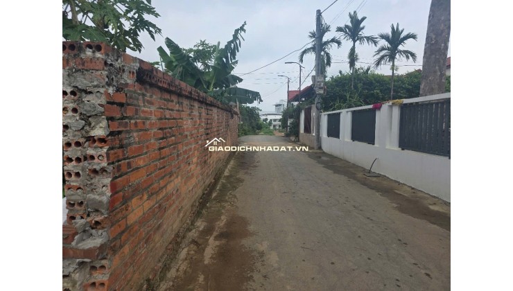 Bán đất Phú Cát, Quốc Oai 107m² – Gần Nhà máy in tiền – Giá chỉ từ 4x triệu/m²!