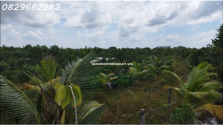 Bán Đất Thổ Cư Gần QL80, Tân Nhuận Đông, Châu Thành, ĐT. 111m2, SH, Giá 460Tr.