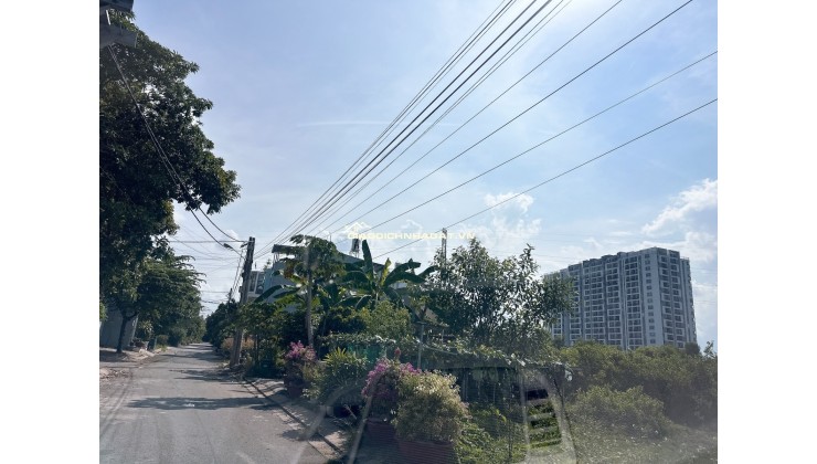Bán Đất Biệt Thự 305M² – Đường 41 Gò Cát, Phú Hữu, TP. Thủ Đức