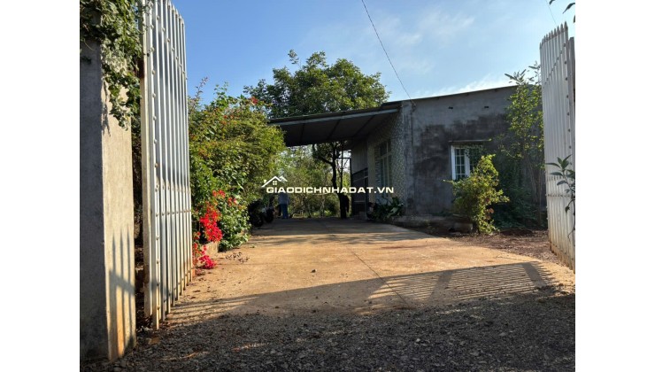 Chính chủ cần bán gấp lô đất vườn 3.700m², có nhà và thổ cư tại Đồng Nai