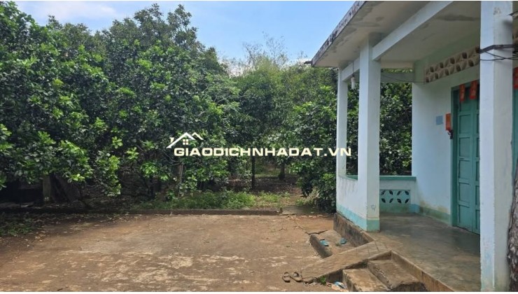 Chính chủ cần bán gấp lô đất vườn 3.700m², có nhà và thổ cư tại Đồng Nai