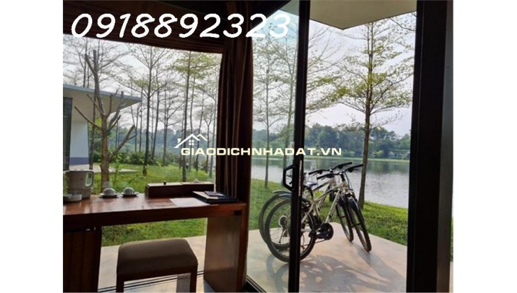 Tại Sao Nên Đầu Tư Hòa Bình Ngay Lúc Này?