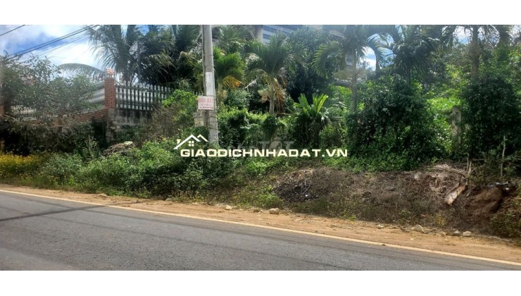 BÁN GẤP GIÁ CHỈ HƠN 300TR/M DÀI – LÔ GÓC 6M MẶT TIỀN ĐƯỜNG NHỰA 14M – NGAY CHỢ KADO, ĐƠN DƯƠNG – LÂM ĐỒNG