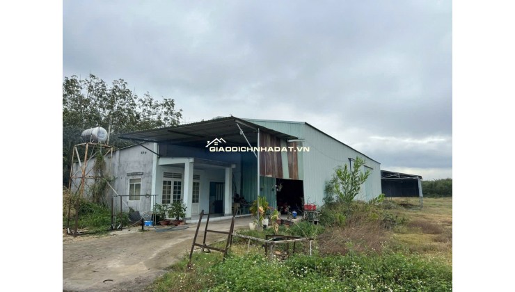 BÁN GẤP! SIÊU PHẨM 4.420,8M² (559m² TC + XƯỞNG), MT 10M NHỰA, Chỉ 5.3 Tỷ, XÃ Tân Bình, TÂY NINH.