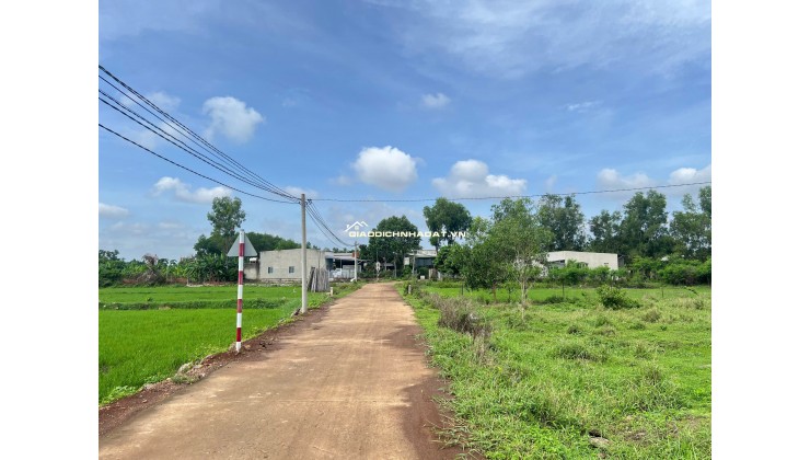 Cần bán lô đất thổ cư 562m² tại Gia Tân 2, Thống Nhất – gần Đức Mẹ Núi Cúi